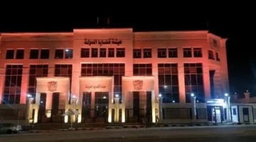 موعد التقديم.. تعرف على الشروط الأساسية لوظيفة مندوب مساعد في هيئة قضايا الدولة